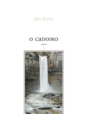 cover image of O Cadoiro